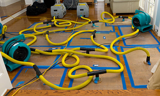 Professional Crawl Space Water Removal technician working in Whiting, ME